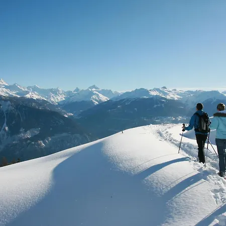 Terrasse Des Alpes 2006 By Interhome Apartment Crans-Montana